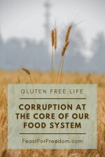 Pinterest mini image - Corruption at the core of our food system with a grain field