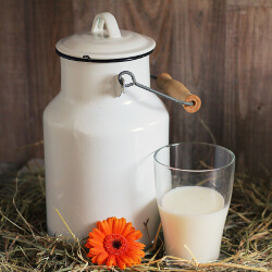 Glass of milk next to a milk can