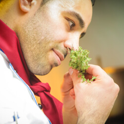 Chef smelling herbs