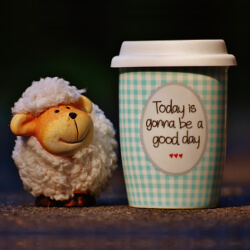 Coffee cup with happy saying next to a smiling stuffed lamb
