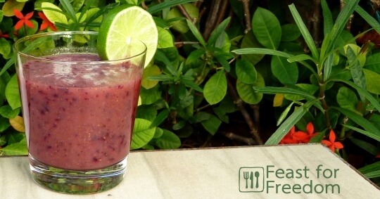 Blueberry Kiwi Smoothie - Breakfast - Recipes - Feast for Freedom